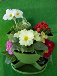 Stolový plastový květináč 9L na bylinky DKN3003 COUBI