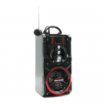 Bluetooth reproduktor s rádiem a funkcí karaoke BASS