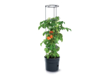 Plastový květináč 12l pro pěstování rajčat TOMATO GROWER