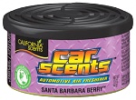 California Car Scents - LESNÍ OVOCE